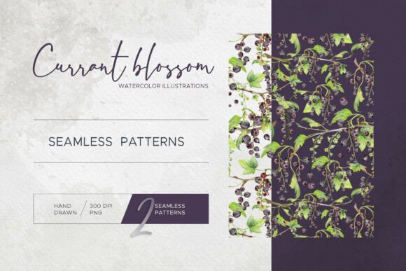 _currant Flowers. Seamless Patterns